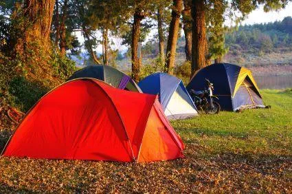 Scouts and Guides – We can help planning for the year!