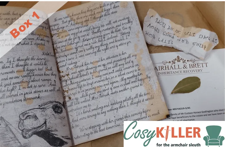 Cosykiller – looking for support for our new Solo Sleuth venture