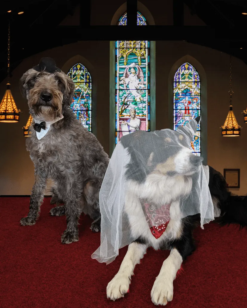 Weddings can be Murder, but we can help!