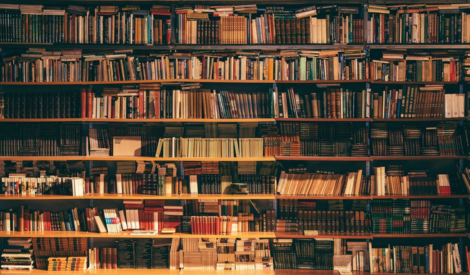 Lost in the Library